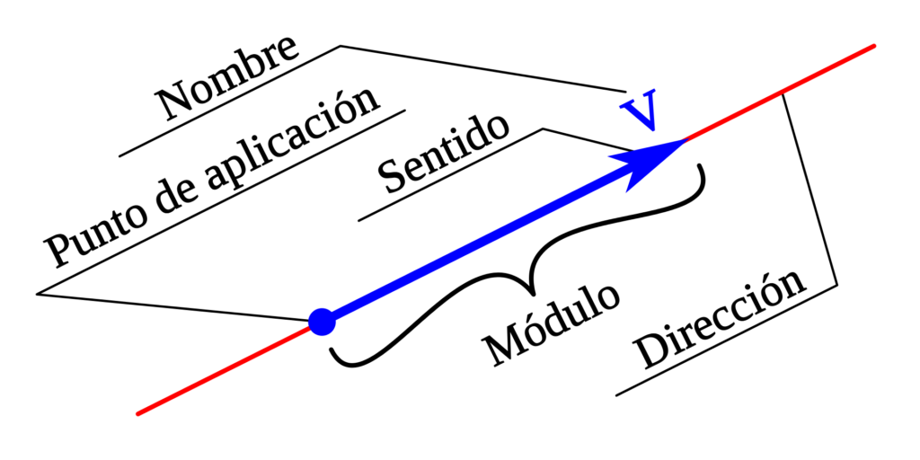 Gráfico con los componentes de un vector